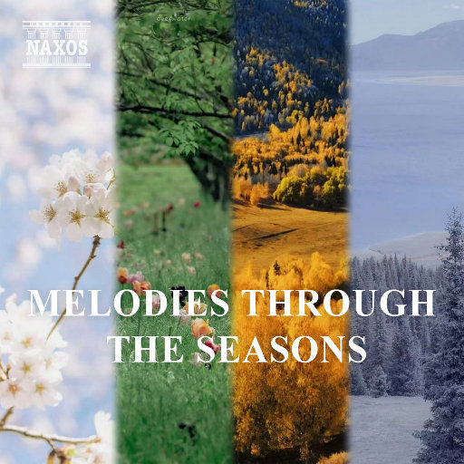 清漪被XX大胸XX动漫
